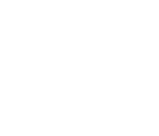 Nordis Group Logo